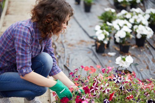 Gardener assessing a front garden in Purley