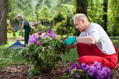 Keyboard user accessing gardening services website on laptop