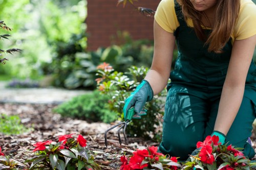 Large suburban garden cleared with van at driveway